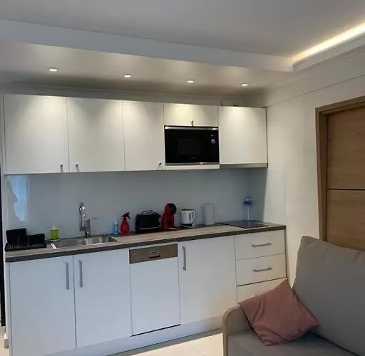 Apartament A Proximite Immediate Des Transports Avec Terrasse Cachan