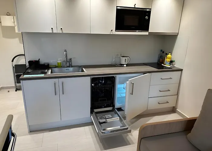 Apartament A Proximite Immediate Des Transports Avec Terrasse Cachan